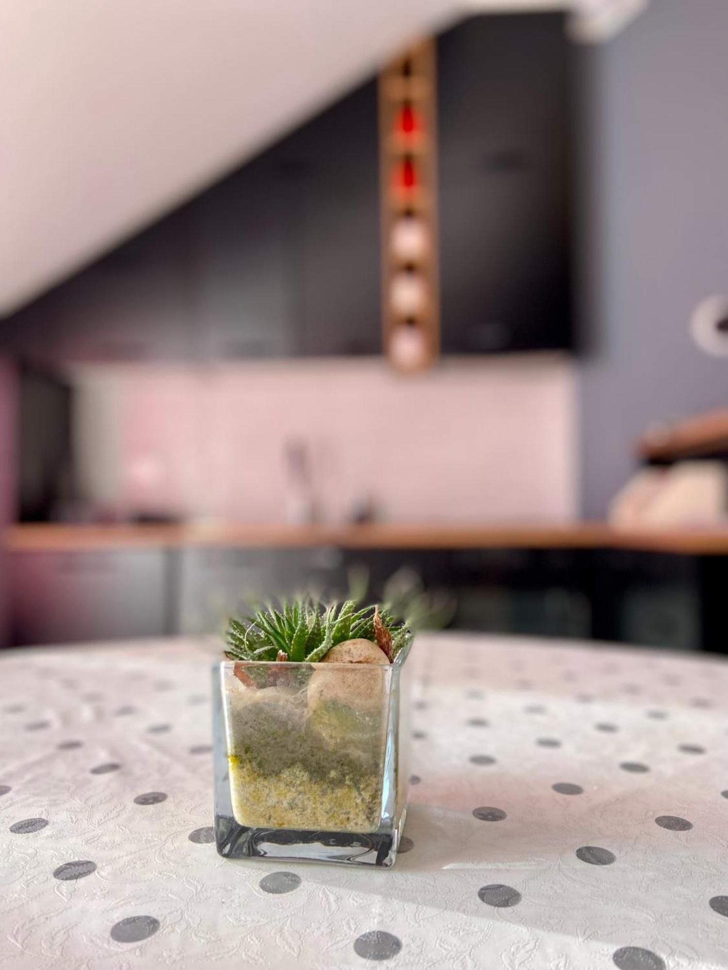 Ðenovići Banicevic Apartmani מראה חיצוני תמונה